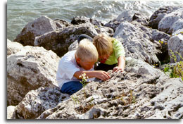 fossil hunt at Waukegan Harbor, Illinois