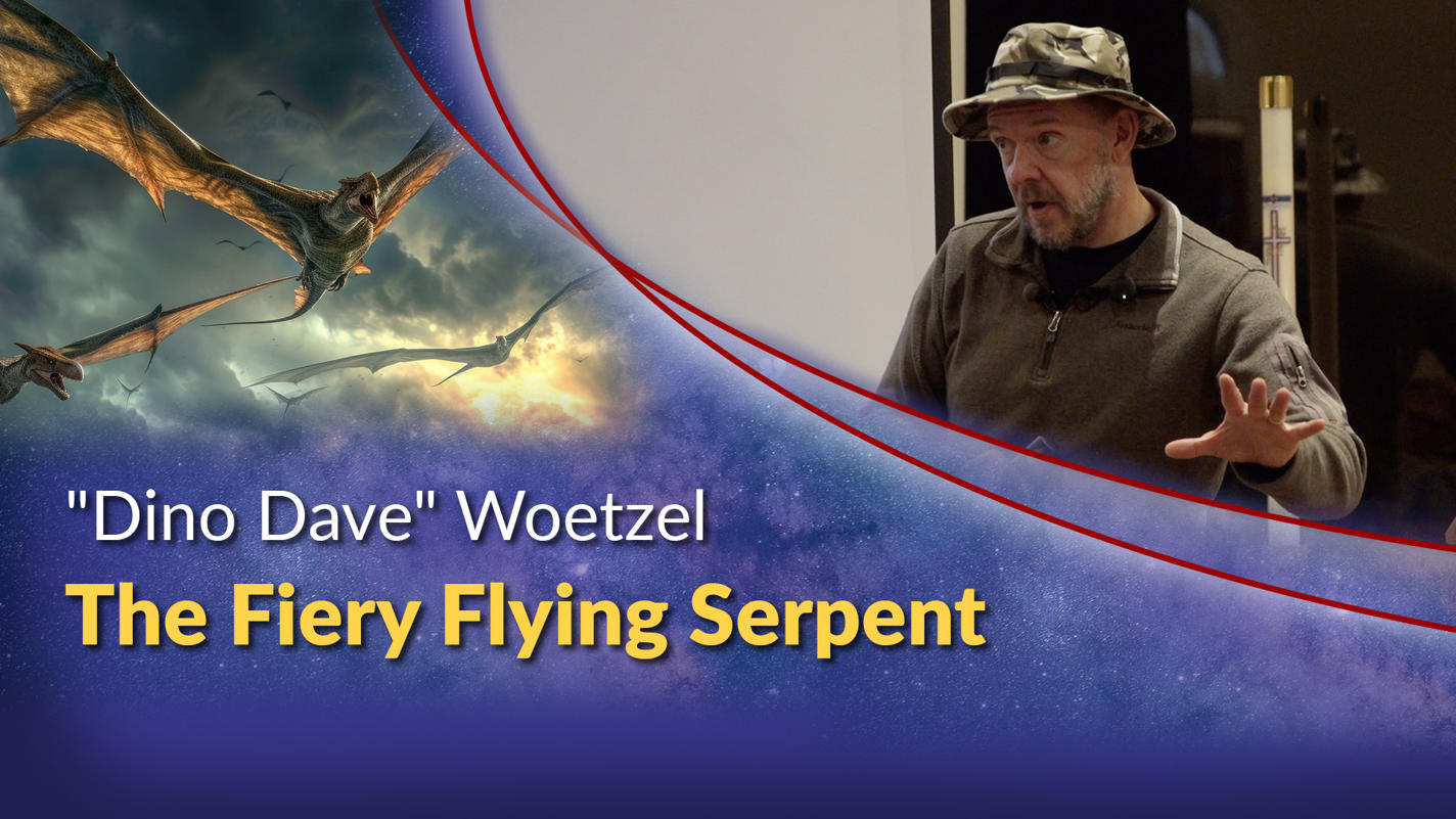 Click for the video on our YouTube channel