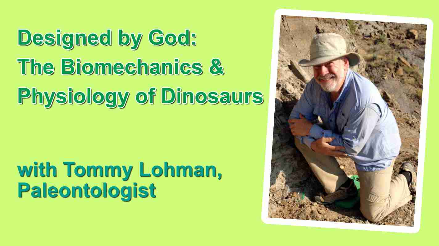 Designed by God: The Biomechanics & Physiology of Dinosaurs, with   Tommy Lohman. Picture of Tommy Lohman on a dig.
